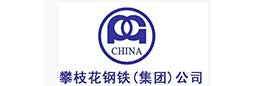  Partner: Panzhihua Iron and steel (Group) Co., Ltd